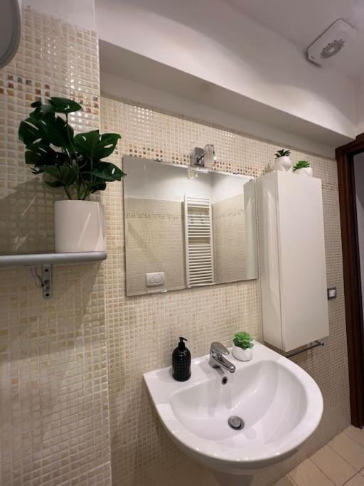 Alfe House Livorno
