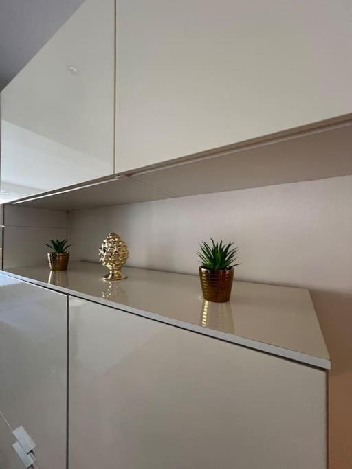 Alfe House Apartment Livorno